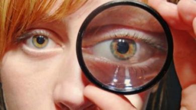 Фото - Бессимптомная глаукома. Важные правила, которые помогут защитить глаза