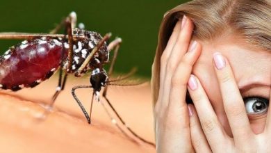 Фото - Кого из людей комары кусают чаще и почему