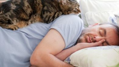 Фото - Учёные рассчитали, сколько часов нужно спать человеку