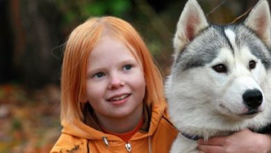 Фото - Защититься от ранней шизофрении помогут собаки